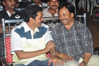 Action 3D Platinum Disc Function